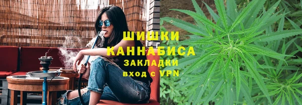 индика Абдулино