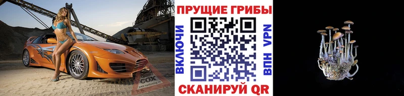 Галлюциногенные грибы мухоморы  Орск 